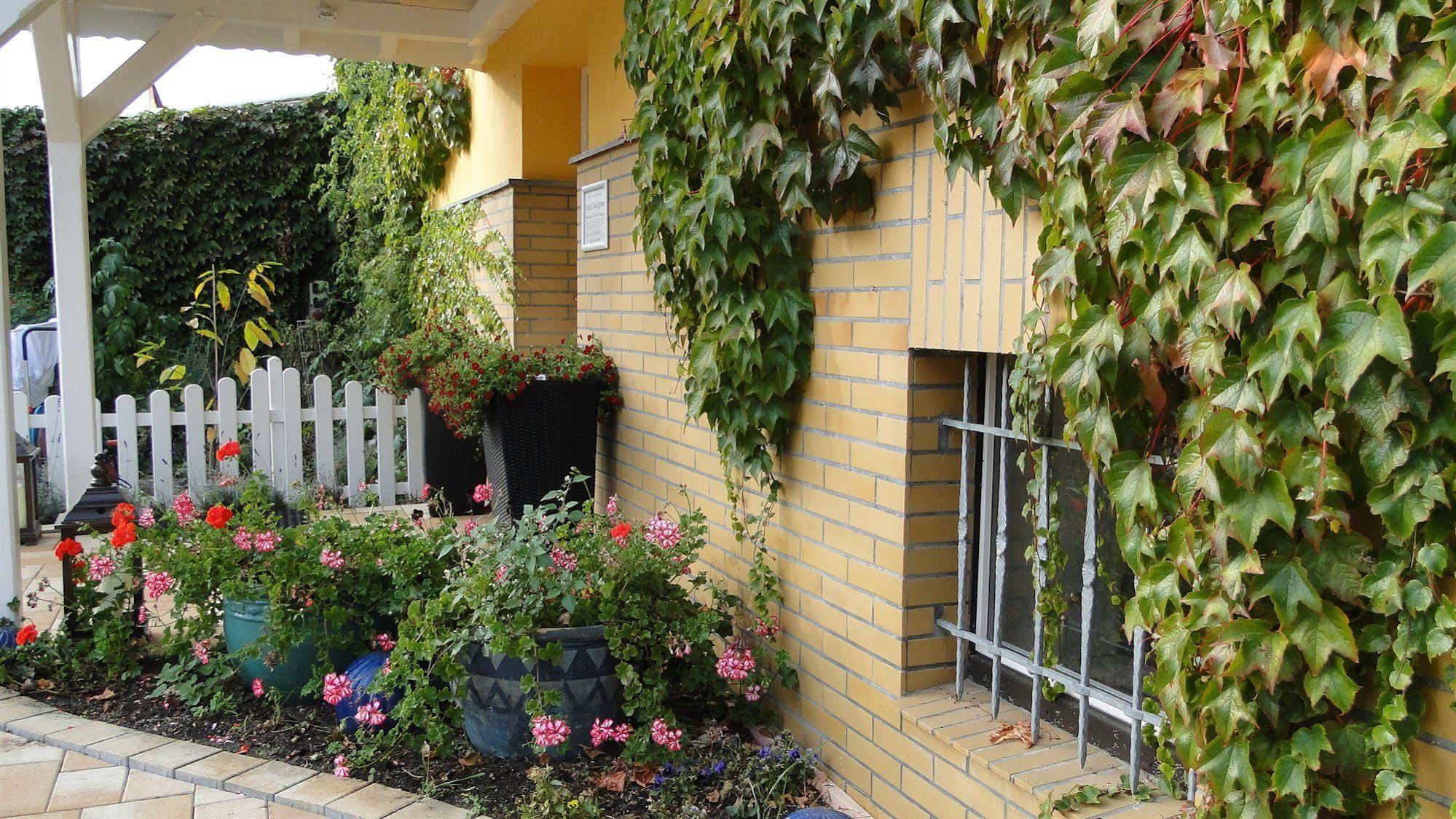 Hotel Dallgow Екстер'єр фото